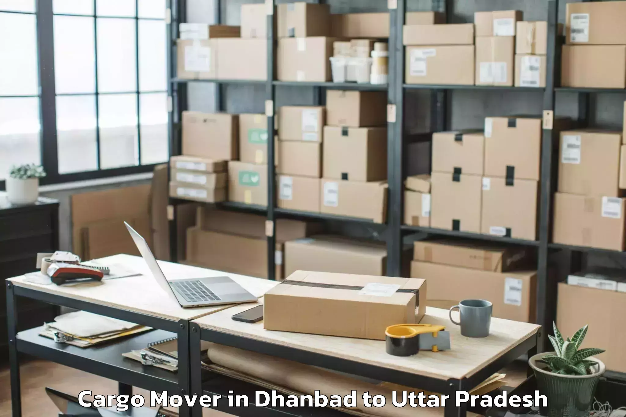 Top Dhanbad to Sikandara Cargo Mover Available